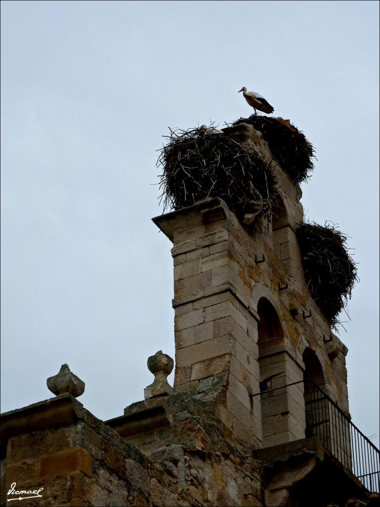 Foto de Zamora (Castilla y León), España