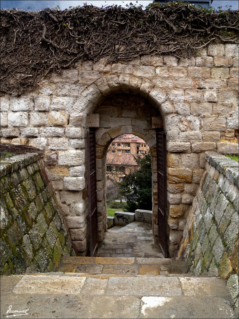 Foto de Zamora (Castilla y León), España