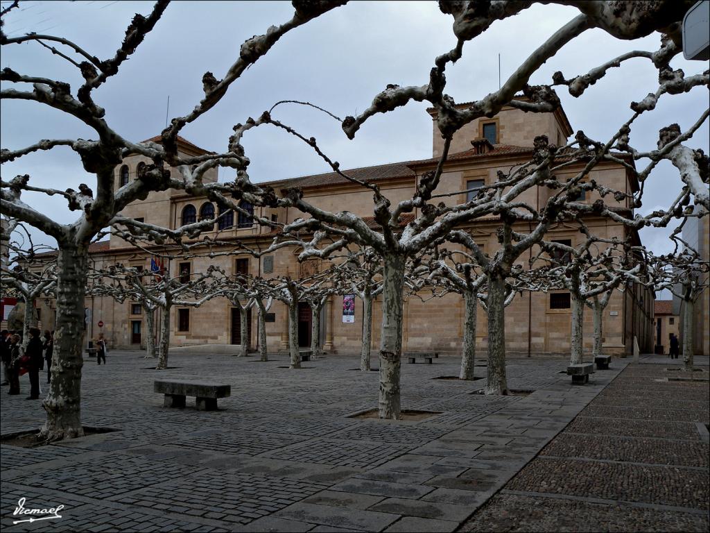 Foto de Zamora (Castilla y León), España