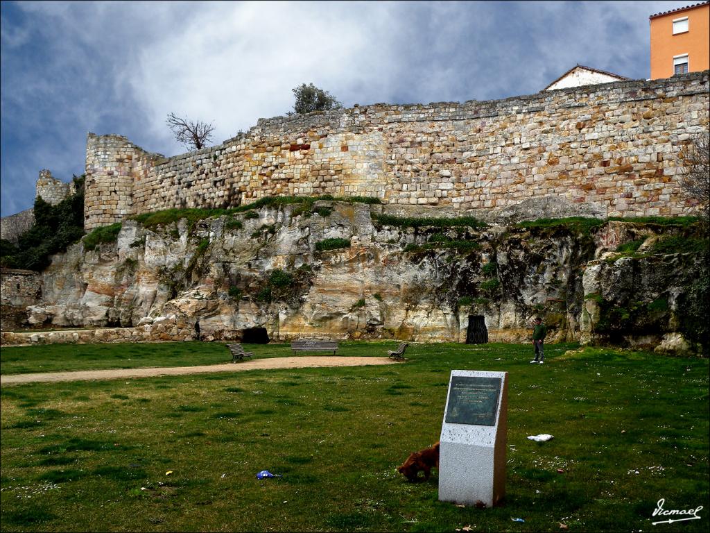 Foto de Zamora (Castilla y León), España