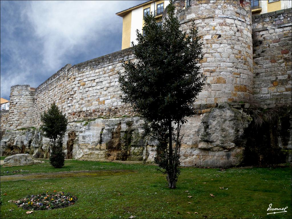 Foto de Zamora (Castilla y León), España