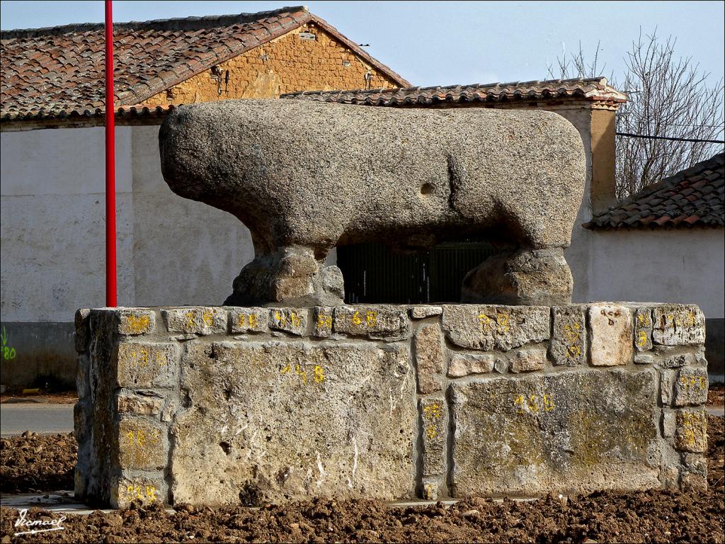 Foto de Toro (Zamora), España