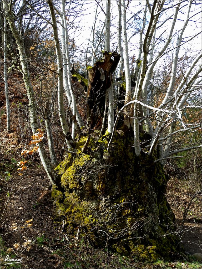 Foto de Las Medulas (León), España