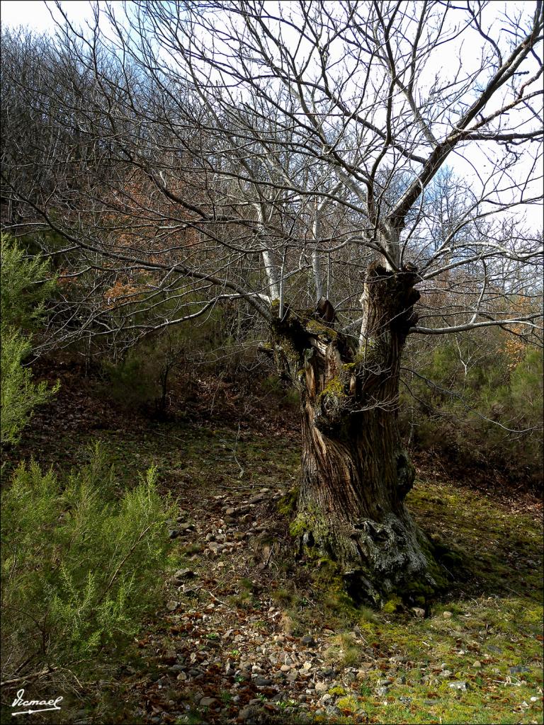 Foto de Las Medulas (León), España