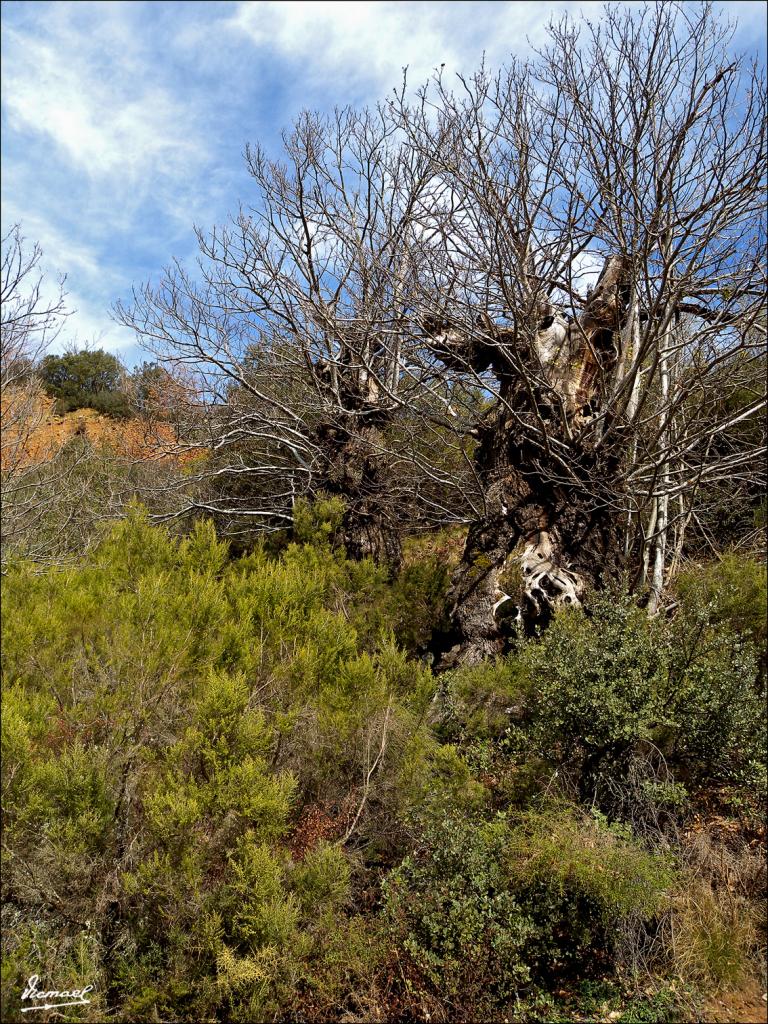 Foto de Las Medulas (León), España