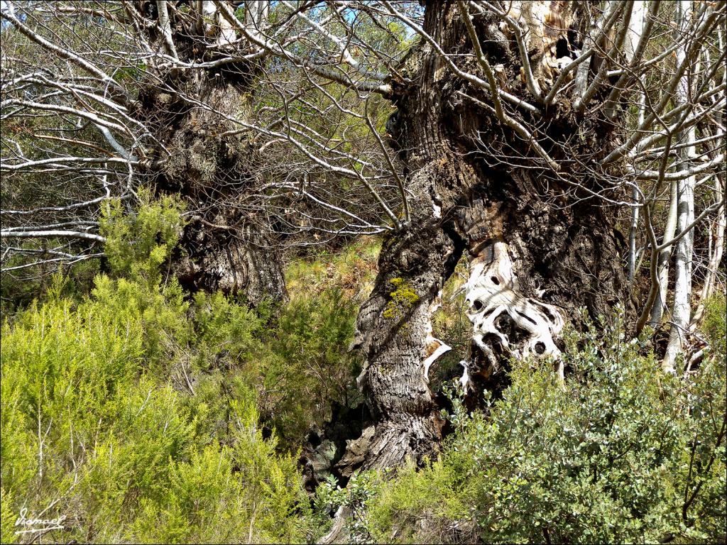 Foto de Las Medulas (León), España
