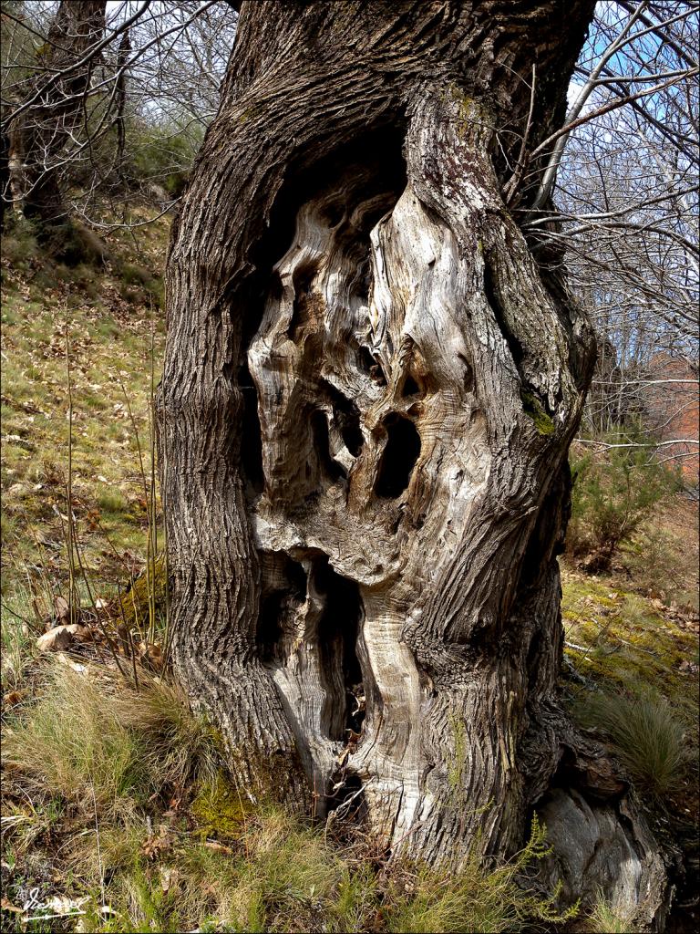 Foto de Las Medulas (León), España