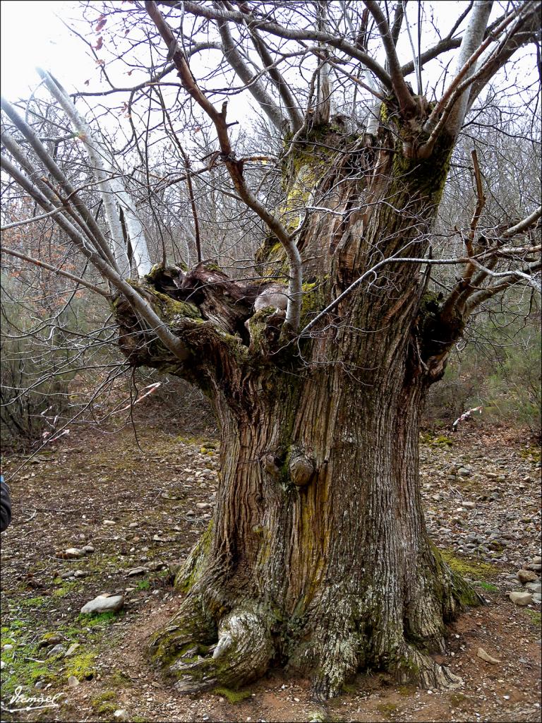 Foto de Las Medulas (León), España