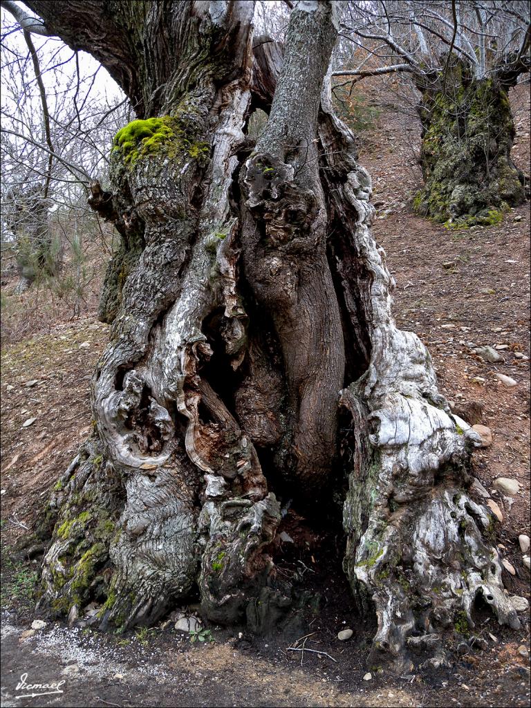 Foto de Las Medulas (León), España