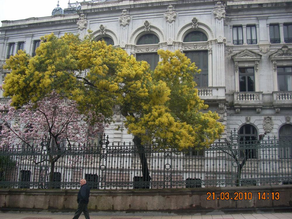 Foto de Oviedo (Asturias), España