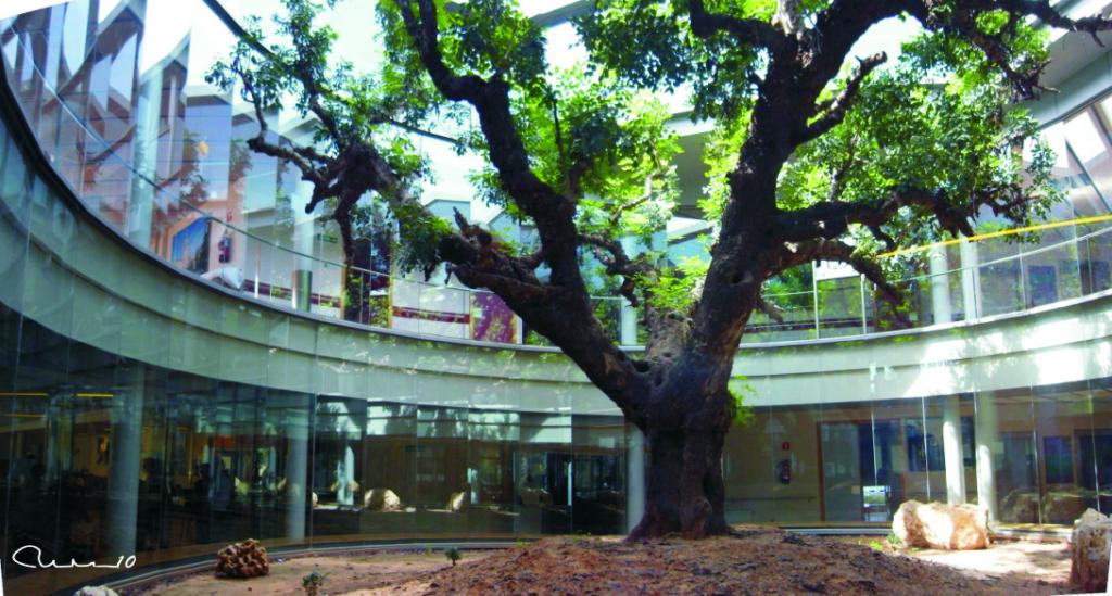 Foto de Bétera (València), España
