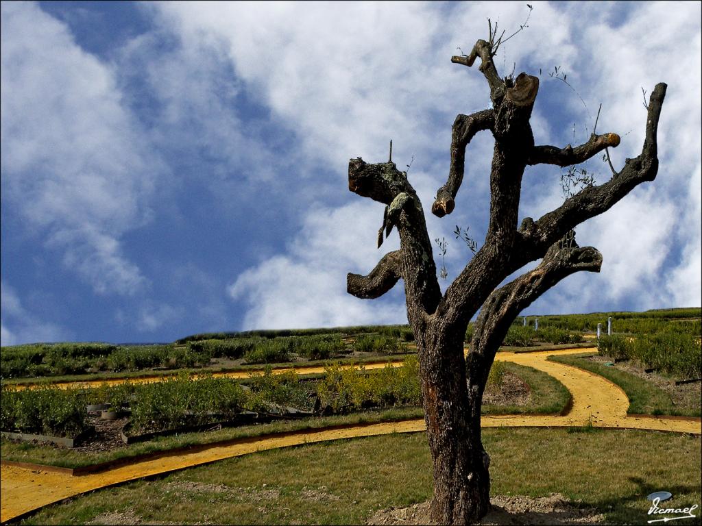 Foto de Pastriz (Zaragoza), España