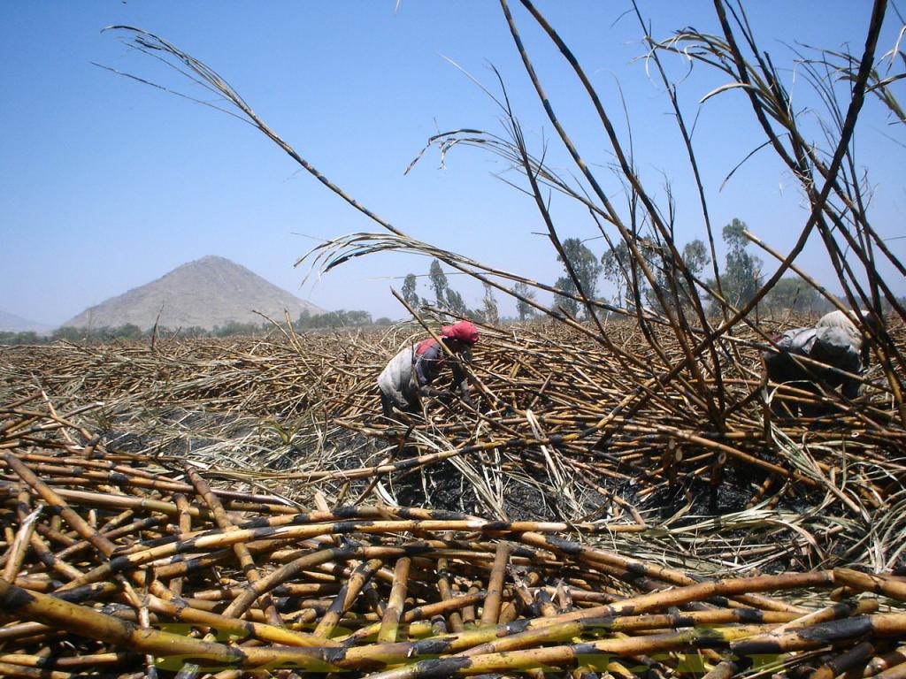 Foto de Cayalti, Perú