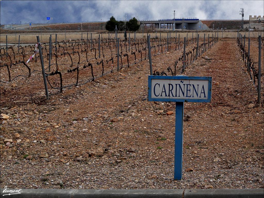 Foto de Cariñena (Zaragoza), España