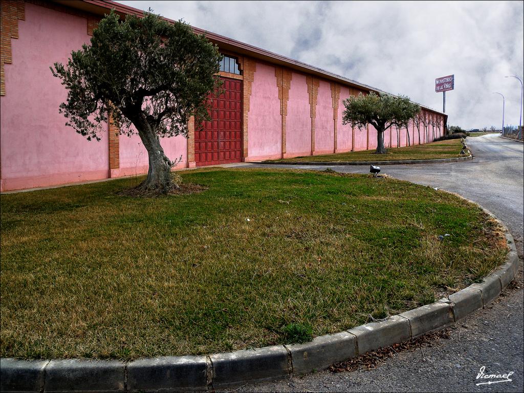 Foto de Cariñena (Zaragoza), España