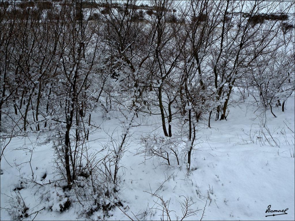 Foto de Medinaceli (Soria), España