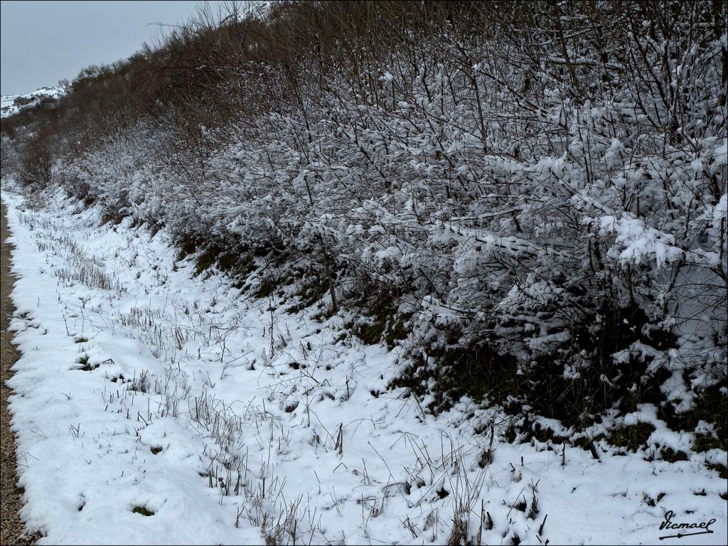 Foto de Medinaceli (Soria), España