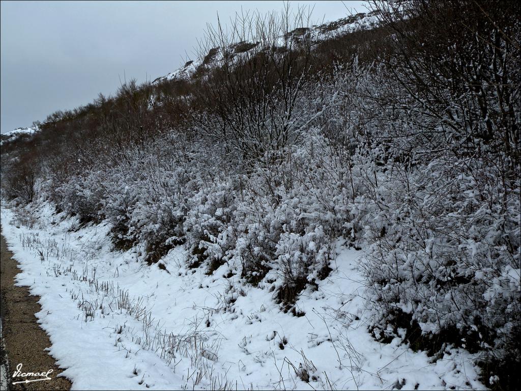 Foto de Medinaceli (Soria), España