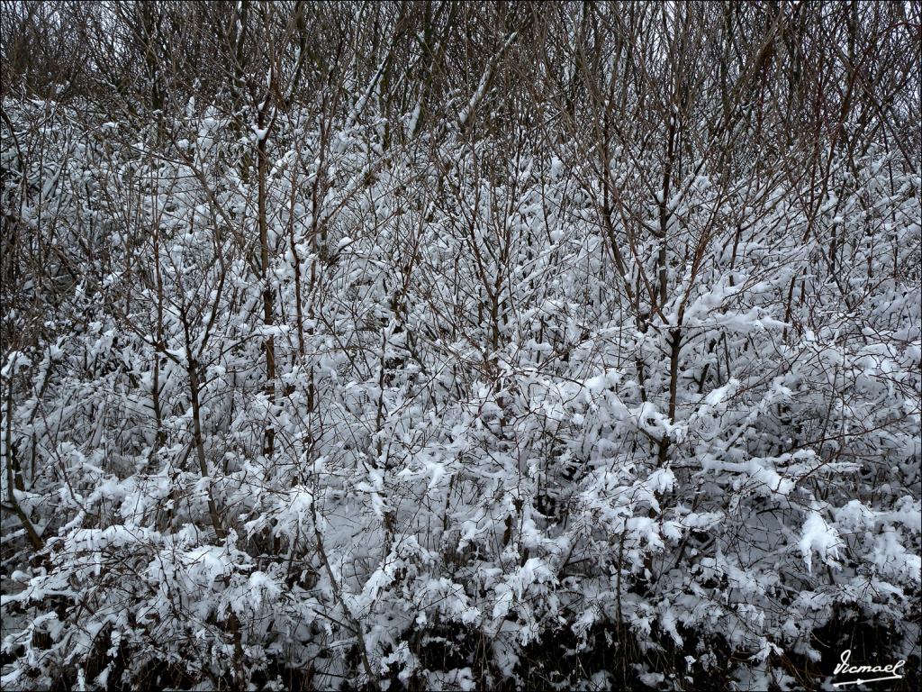 Foto de Medinaceli (Soria), España