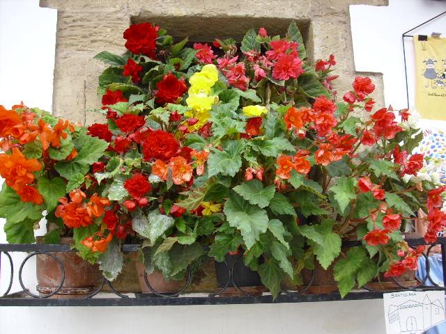 Foto de Santillana del Mar (Cantabria), España