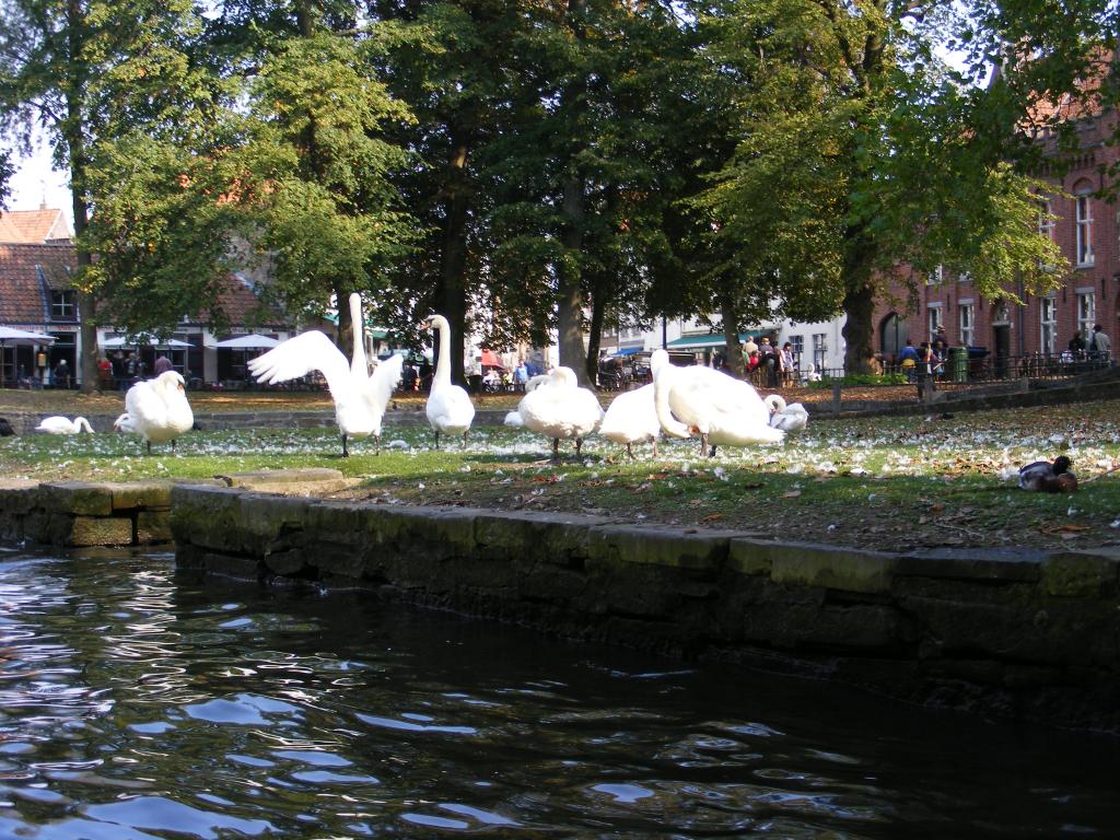 Foto de Brujas, Bélgica