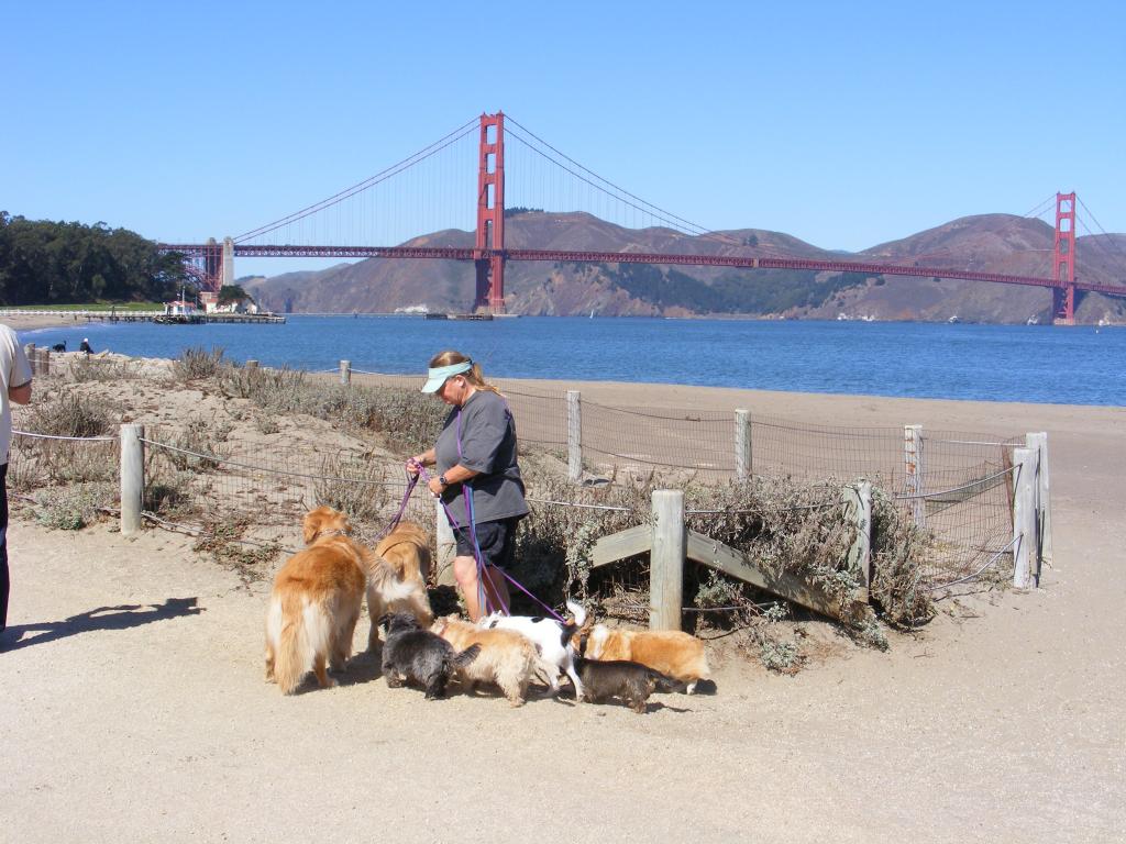 Foto de San Francisco (California), Estados Unidos