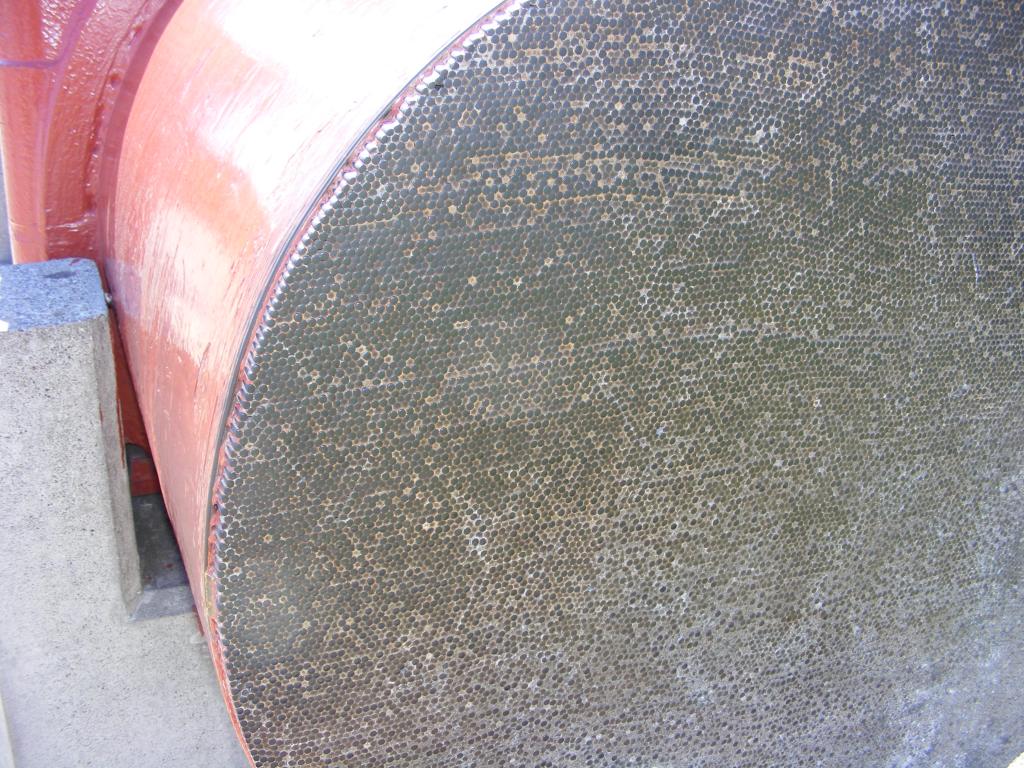 Foto de San Francisco (California), Estados Unidos