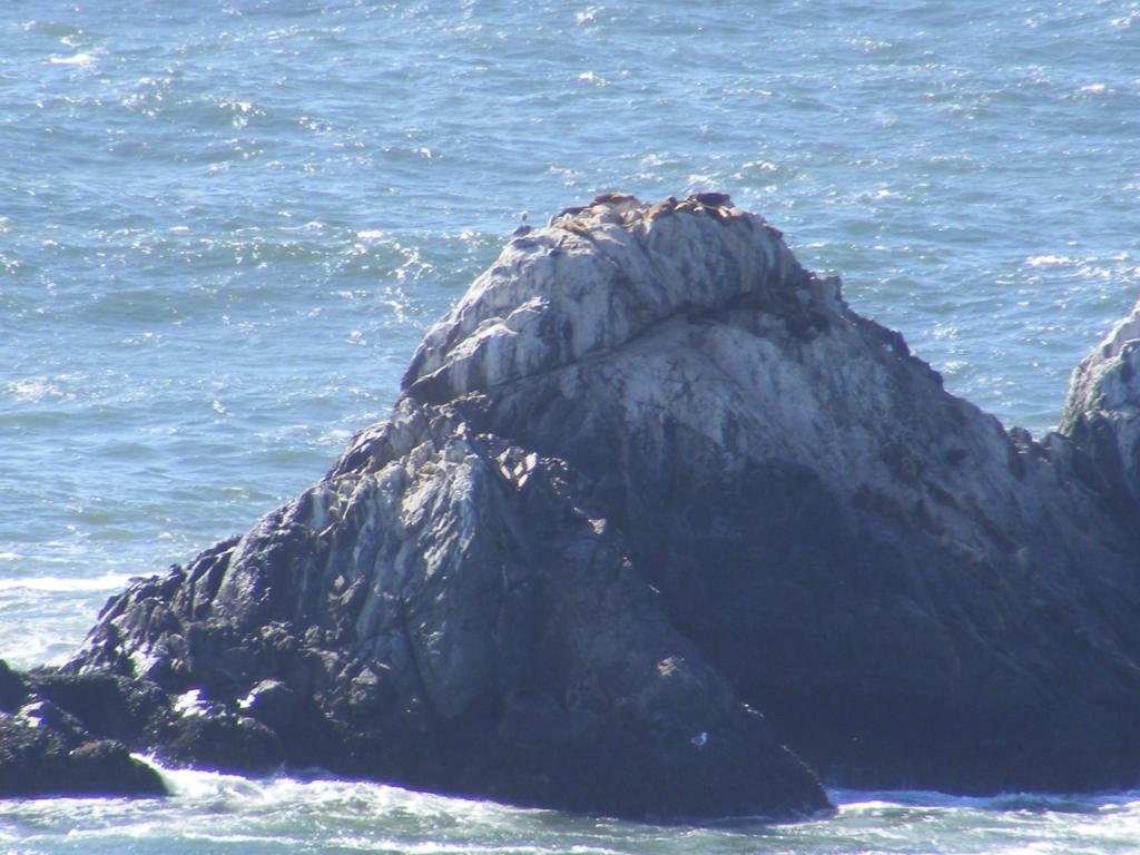 Foto de San Francisco (California), Estados Unidos