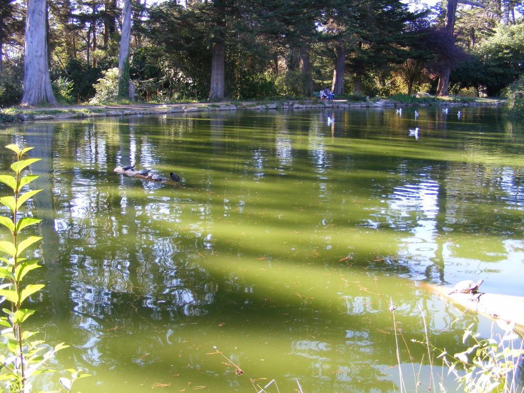 Foto de San Francisco (California), Estados Unidos
