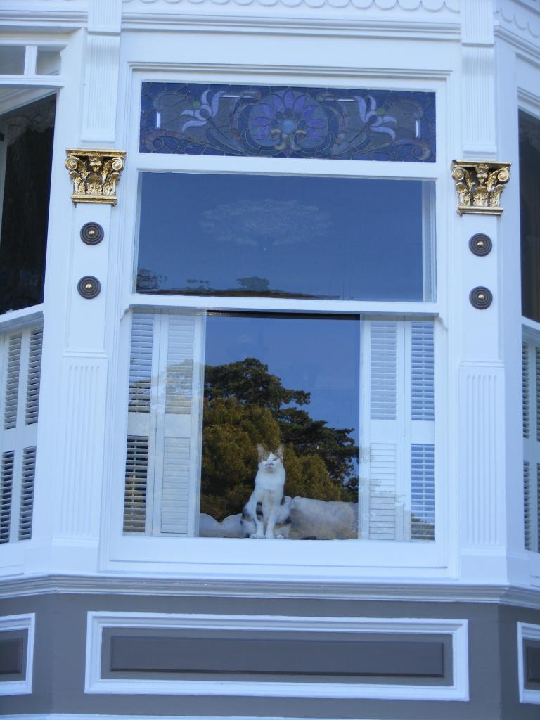 Foto de San Francisco (California), Estados Unidos