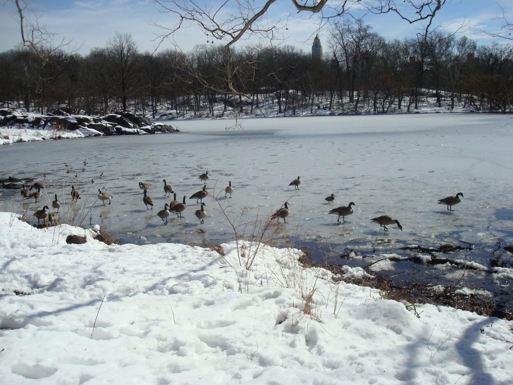 Foto de New York, Estados Unidos