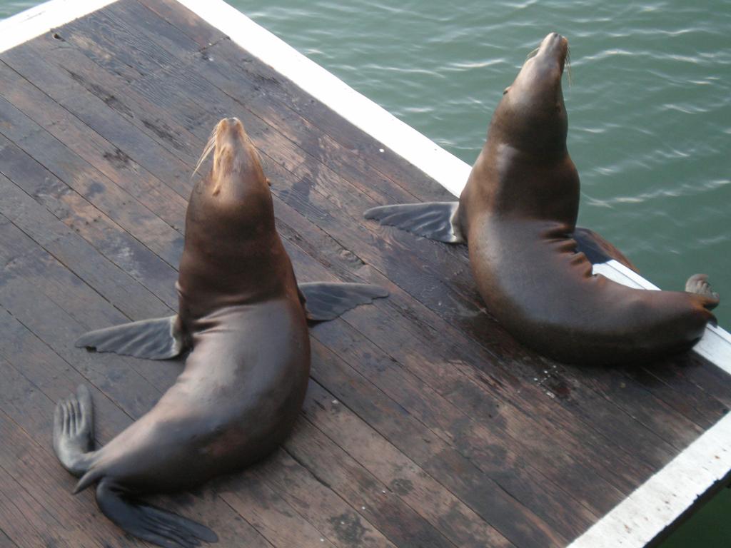 Foto de San Francisco (California), Estados Unidos