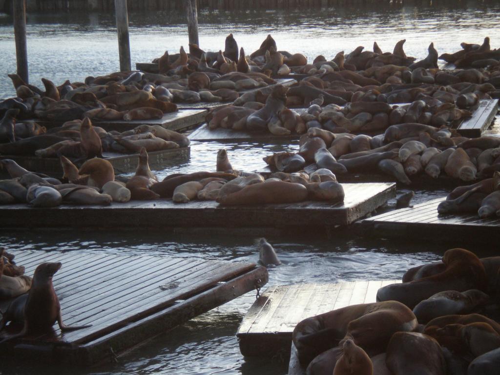 Foto de San Francisco (California), Estados Unidos