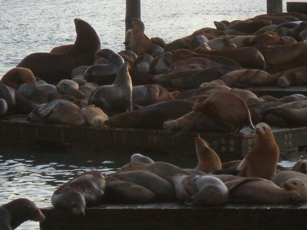 Foto de San Francisco (California), Estados Unidos