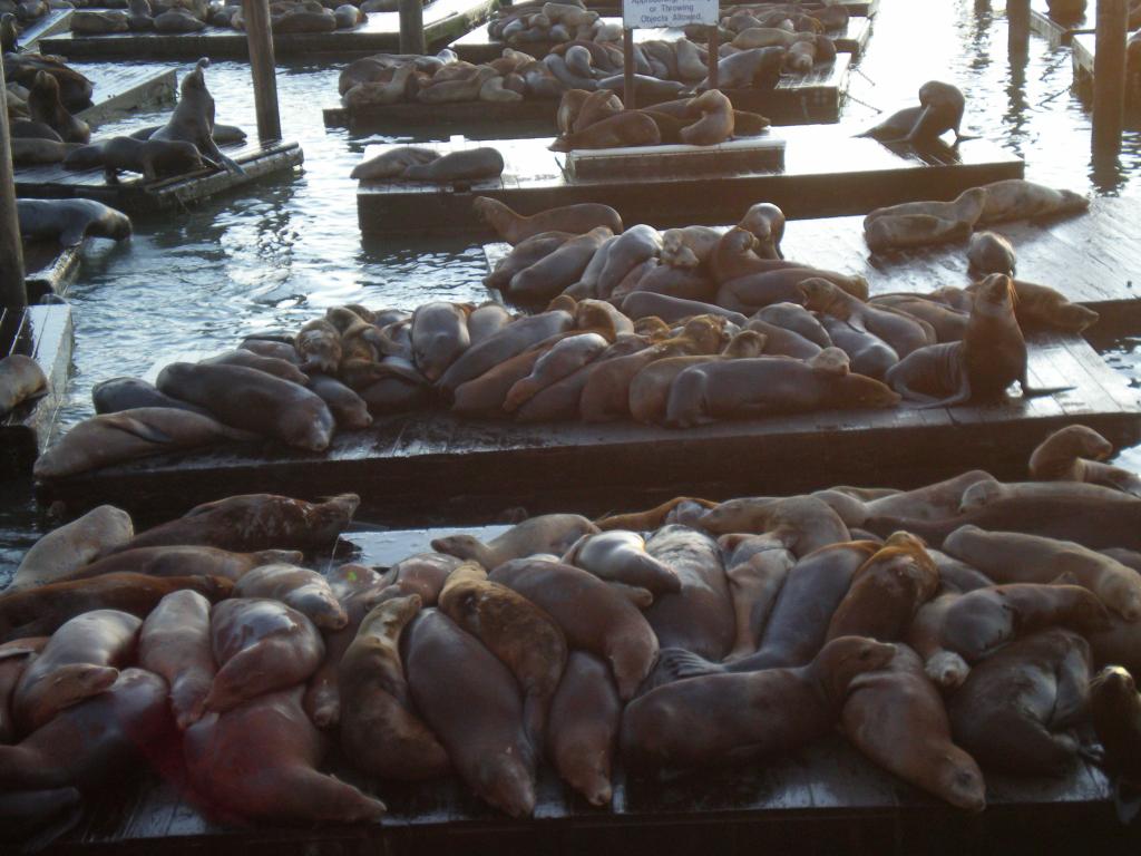 Foto de San Francisco (California), Estados Unidos