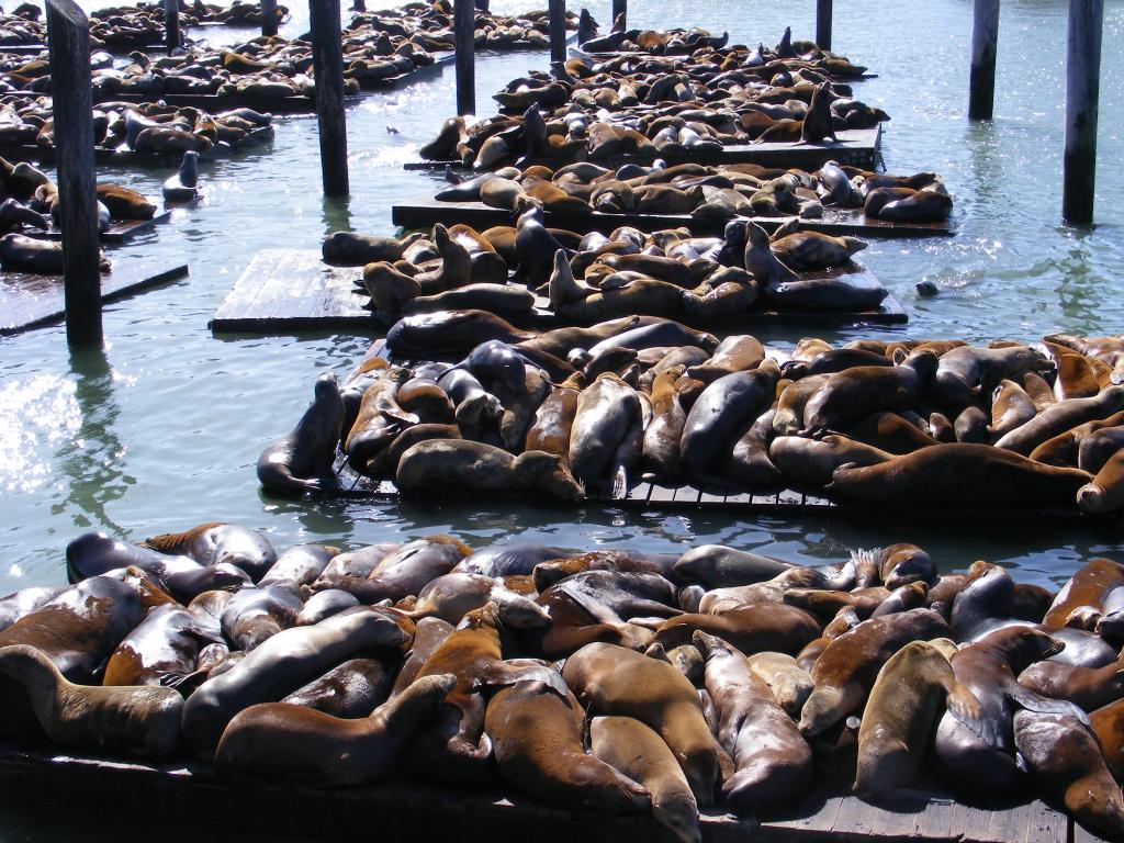 Foto de San Francisco (California), Estados Unidos
