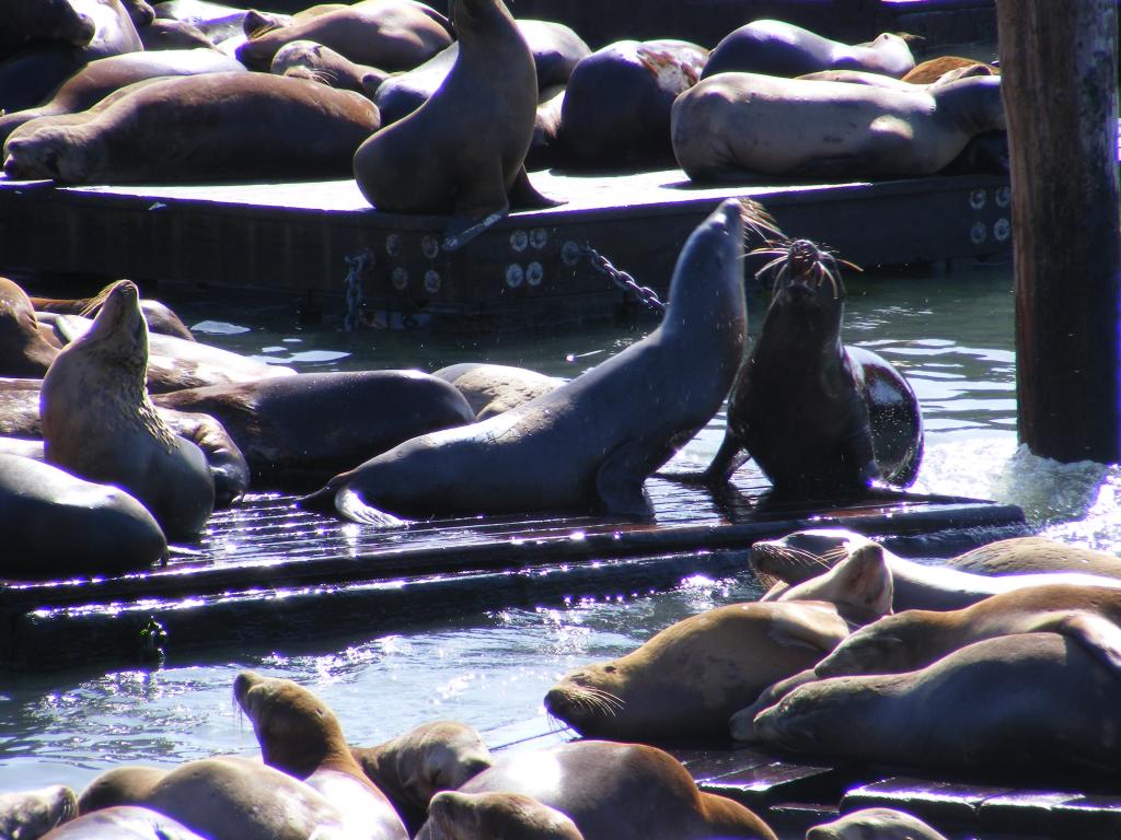 Foto de San Francisco (California), Estados Unidos