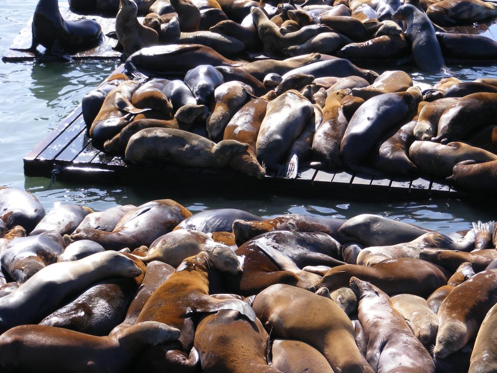 Foto de San Francisco (California), Estados Unidos