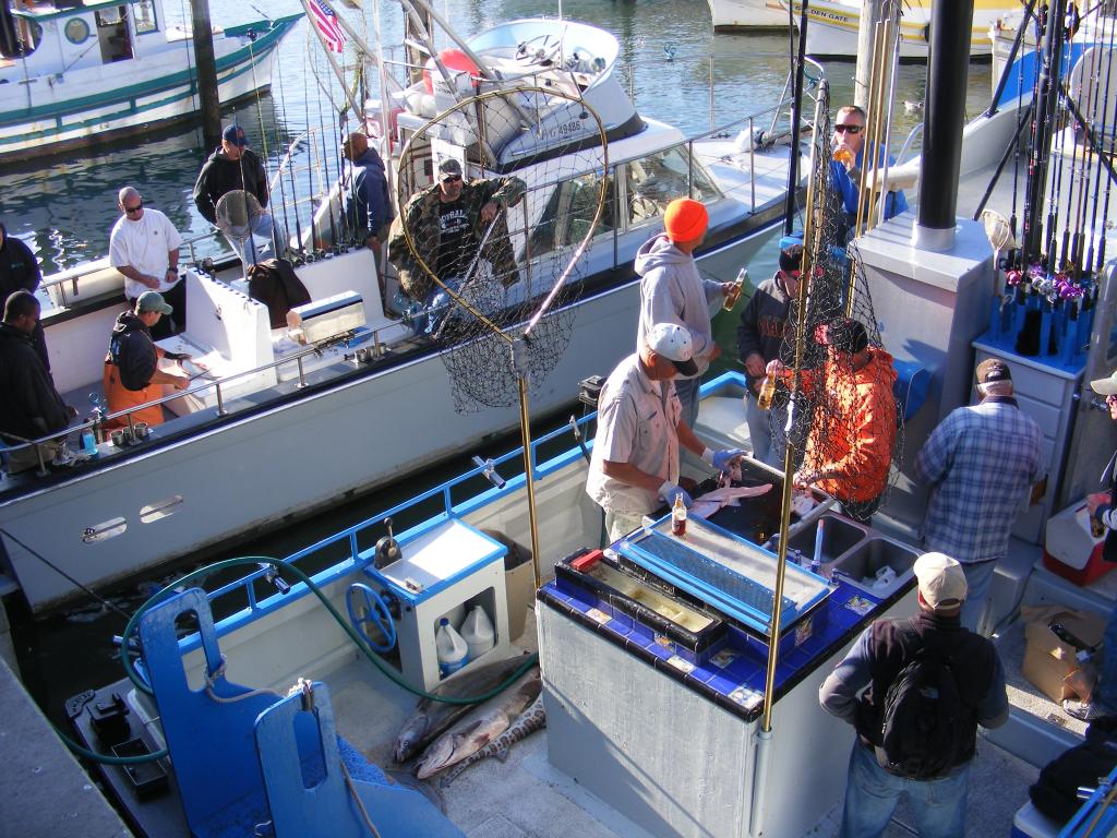 Foto de San Francisco (California), Estados Unidos