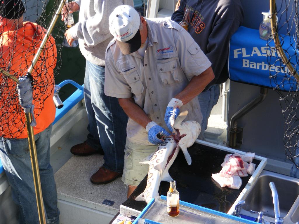 Foto de San Francisco (California), Estados Unidos