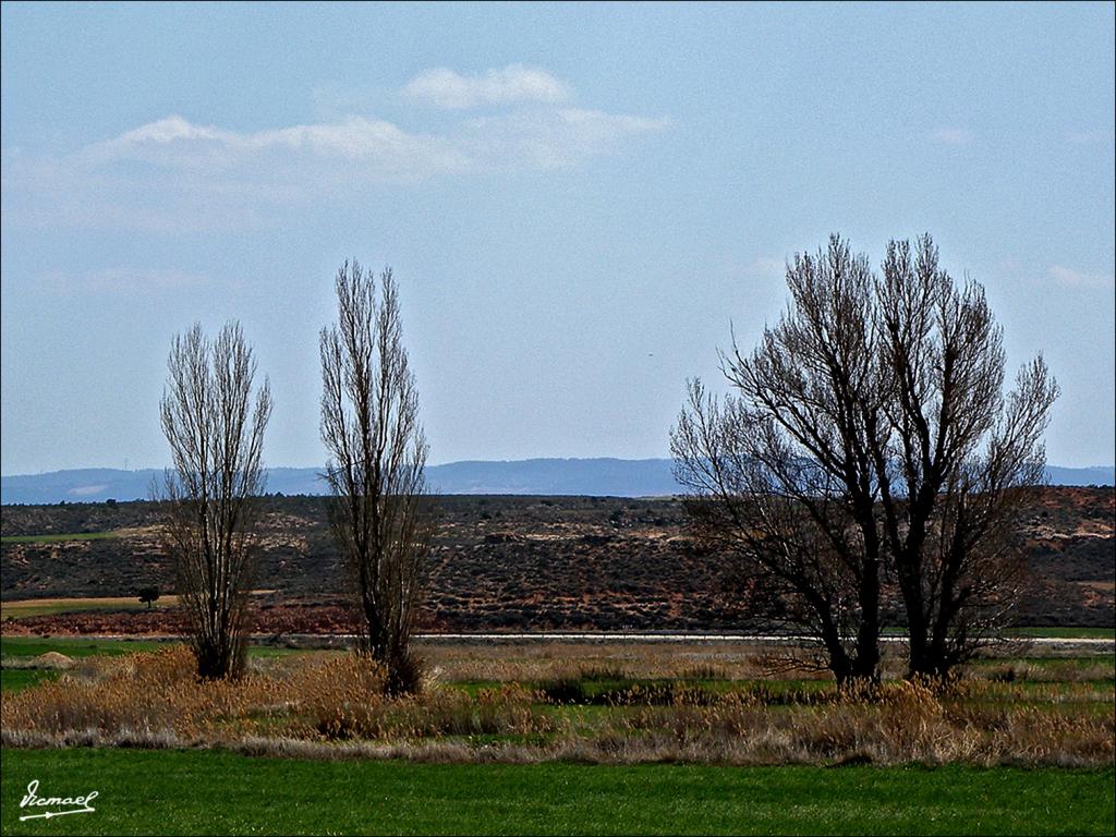 Foto de Almaluez (Soria), España