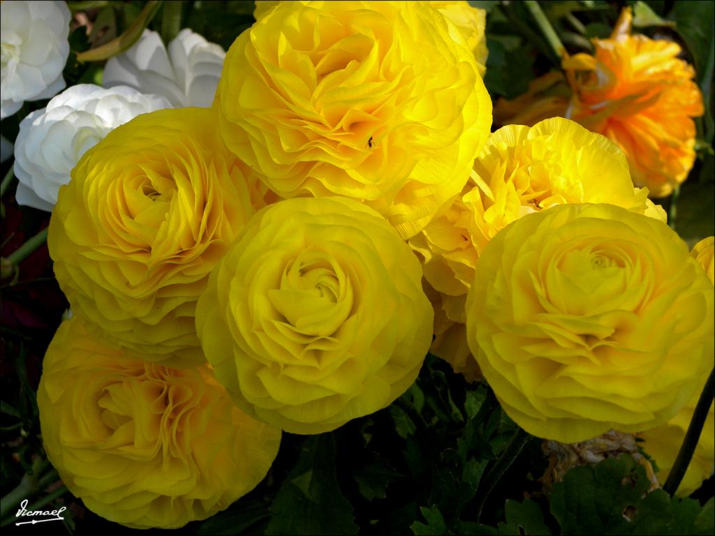 Foto de Zaragoza (Aragón), España