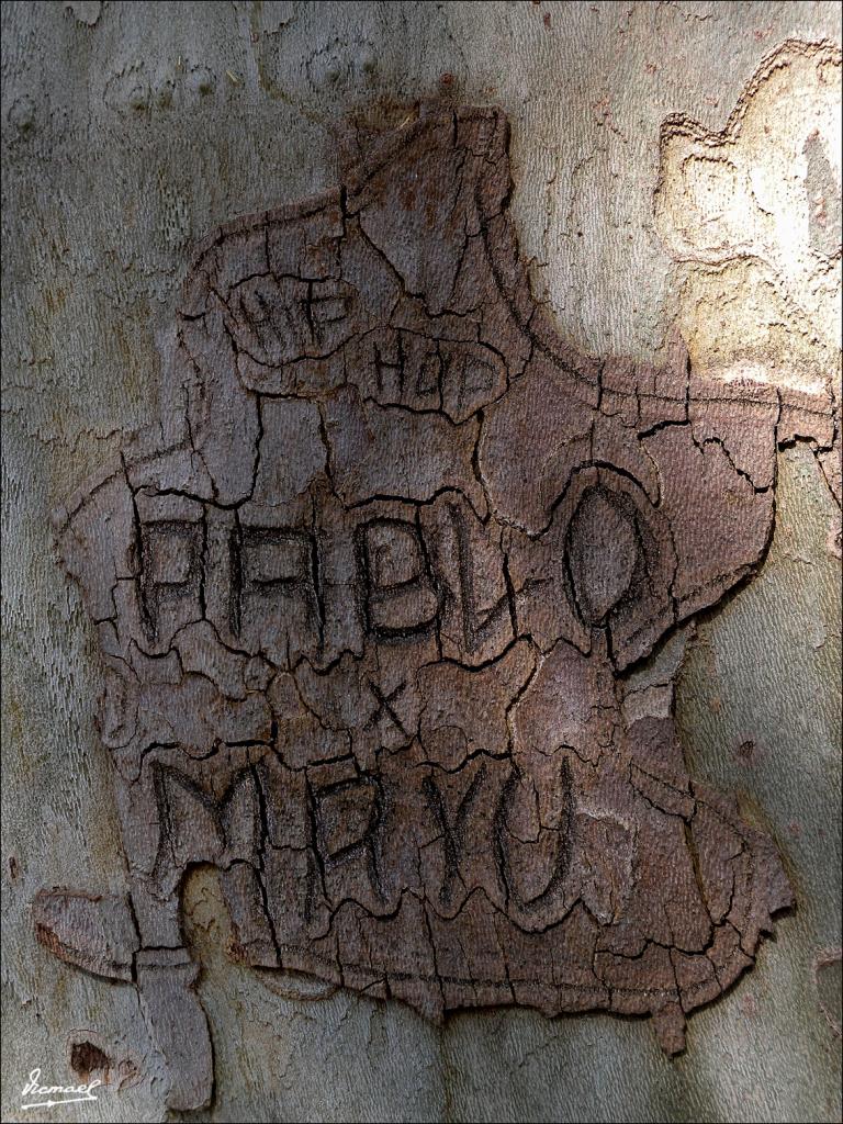 Foto de Zaragoza (Aragón), España