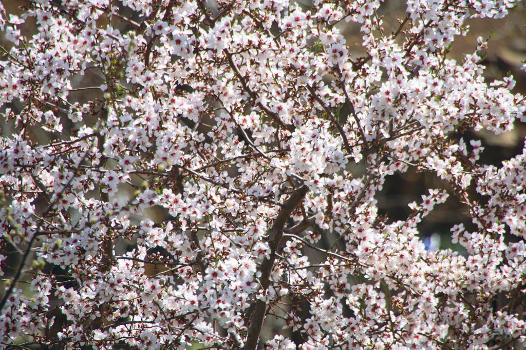 Foto de La Iglesuela del Cid (Teruel), España