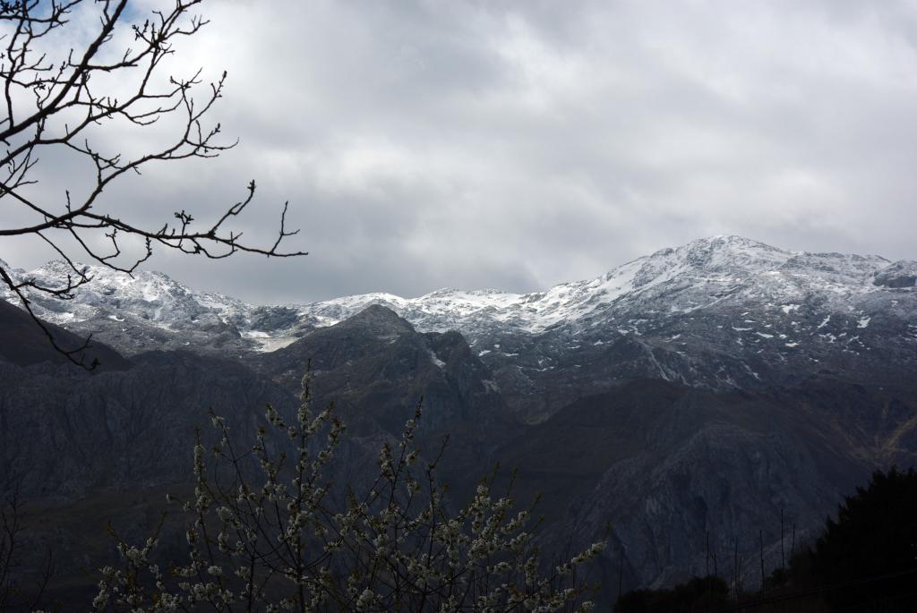 Foto de Cabrales (Asturias), España