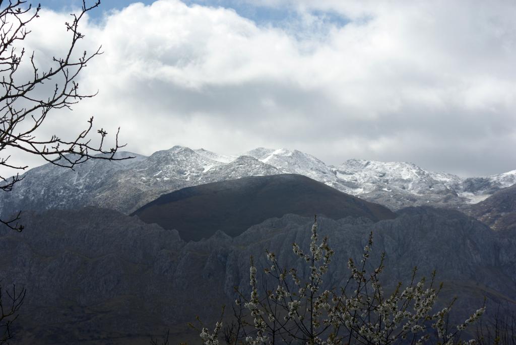 Foto de Cabrales (Asturias), España
