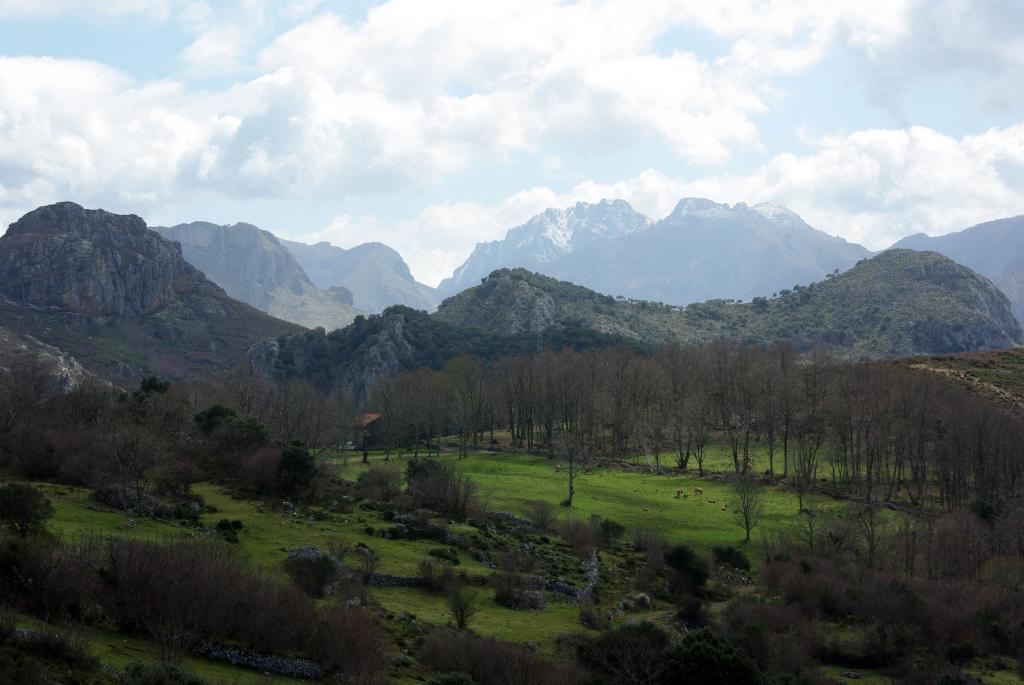 Foto de Cabrales (Asturias), España
