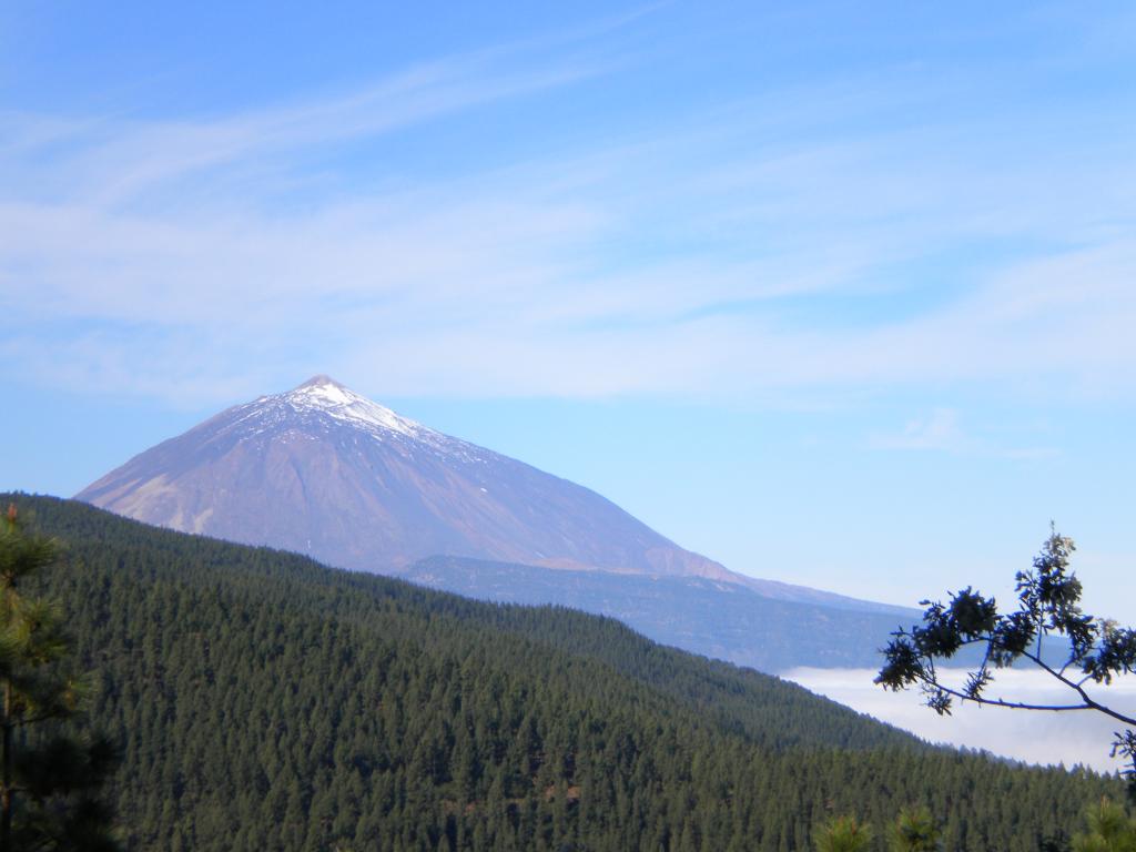 Foto de Tenerife (Santa Cruz de Tenerife), España