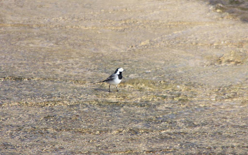 Foto de Miravete de la Sierra (Teruel), España