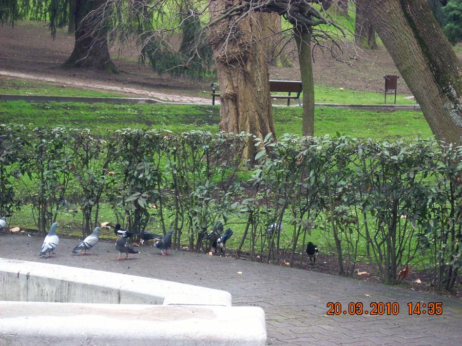 Foto de Oviedo (Asturias), España